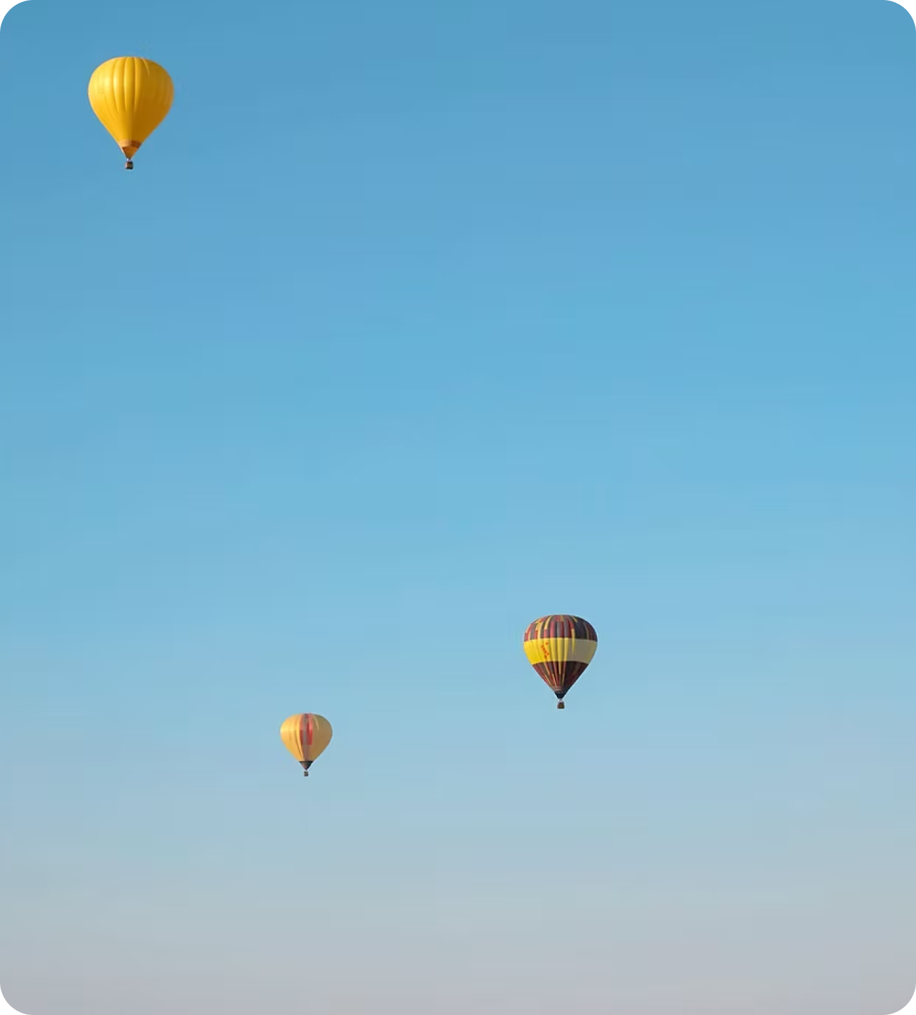 Psicóloga Isabel Rosa